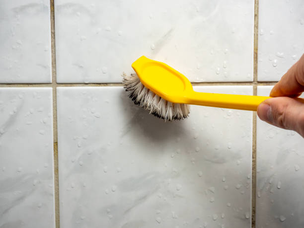 Best Best Mold Removal Companies  in Peach Springs, AZ