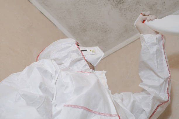 Best Mold Testing  in Peach Springs, AZ