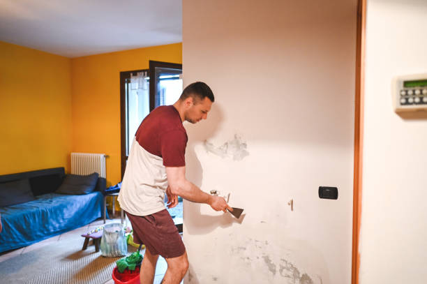  Peach Springs, AZ Mold Removal Pros
